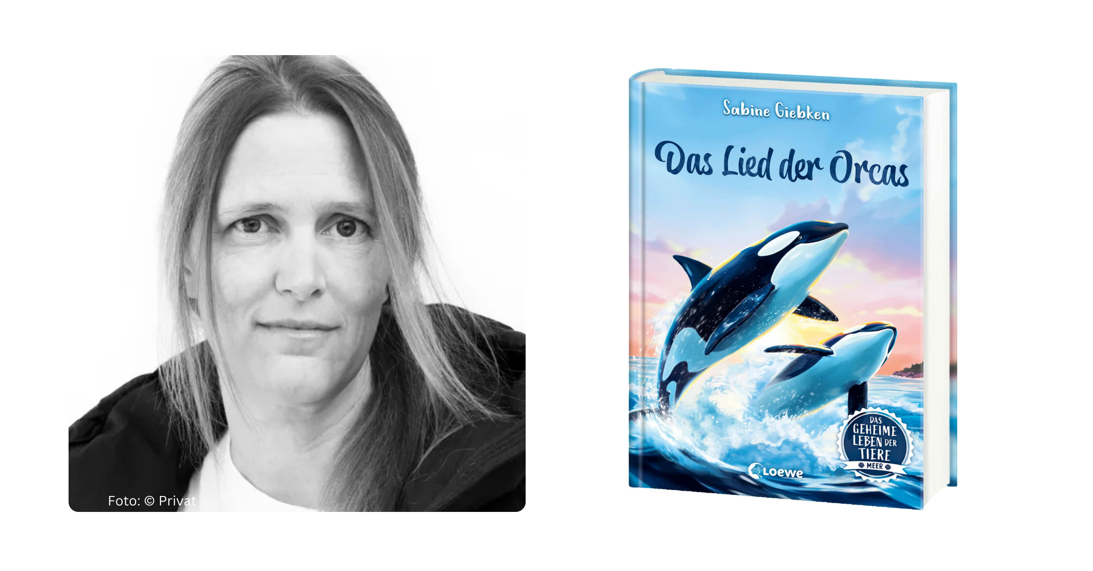 Spannende Lesung mit Sabine Giebken Image